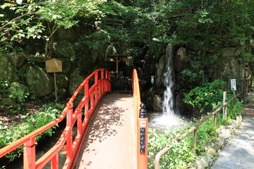 A Japanese temple : a scene of the precincts of Nanzo-in Temple in Kasuya-gun County in Fukuoka...