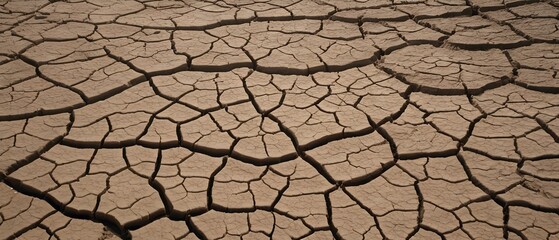 Cracked mud texture with deep fissures and a dry, arid surface, evoking a sense of harsh natural environments