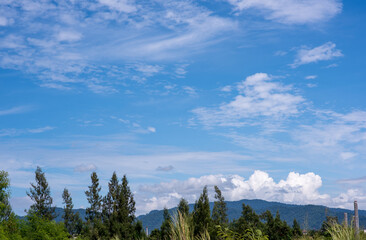 sky,storm,thunder,dark, rain,clouds,Halloween,  sky, clouds, cloud, background, blue, blur, natural, sunset, sunrise, clear, scape, blue sky, clouds background, cloudy, abstract, anvil, nature, cumulu