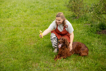 Cheerful happy young woman playing with her dog in the yard of the house in summer. Happy 30s woman taking selfie with Irish Setter on summer day