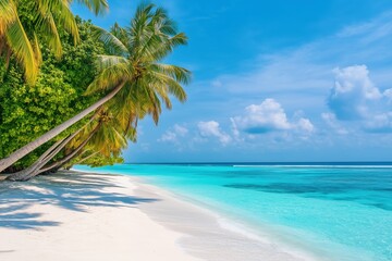 A beautiful beach with palm trees and a clear blue ocean