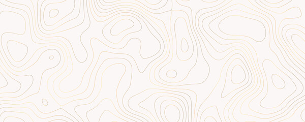 Luxury Topography Illustration with Gold Contour Lines and Geometric Grid Patterns for a Digital Nature Travel Wallpaper
