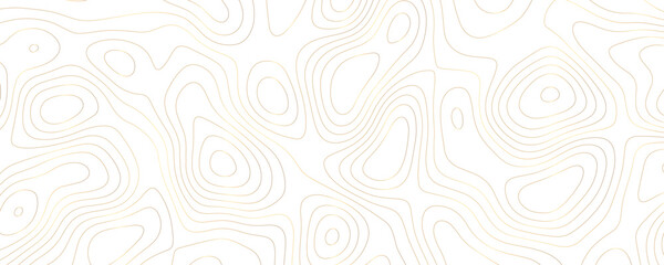 Abstract Gold Topographic Map Design with Wavy Contours and Geometric Patterns on a White Background for a Luxury Landscape Illustration
