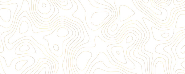 Abstract Gold Topographic Map Design with Wavy Contours and Geometric Patterns on a White Background for a Luxury Landscape Illustration
