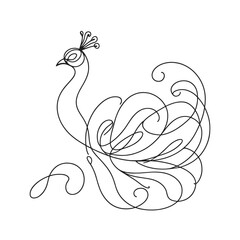 Fototapeta premium A black and white drawing of a peacock with a crown on its head. The peacock is depicted in a flowing, elegant manner, with its feathers spread out. Concept of grace and beauty