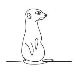 A small animal with a long tail is sitting on the ground. The animal is white and has a black nose