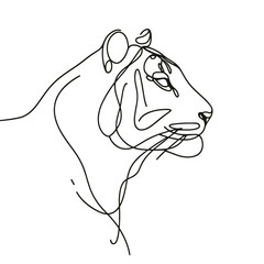 A tiger is drawn in a black and white line drawing. The tiger has a fierce look on its face and is looking straight ahead. The drawing is simple and minimalistic