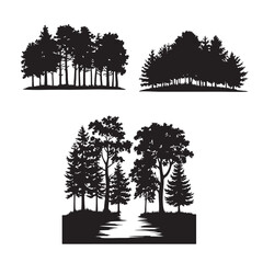 Fototapeta premium forest tree silhouette