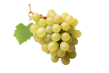 White grape on transparent background. PNG cutout. Wine related themes. Wine professions. Oenologist. Wine shop. Buying and selling wine. Images for graphic designers. Isolated wine. Image for website