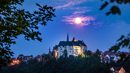 Burg Mildenstein in Leisnig im Mondschein