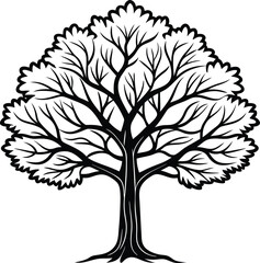 Oak tree icon isolated on white background.