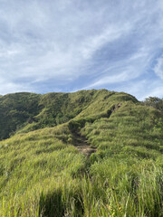 Fototapeta premium green hill and blue sky