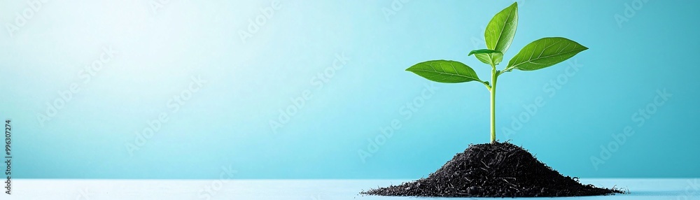 Poster tree of growth abstract visualization of goal setting for smes - roots of planning branches of targe