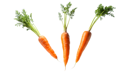 Fresh bunch of orange carrots with green leaves, isolated on white background
