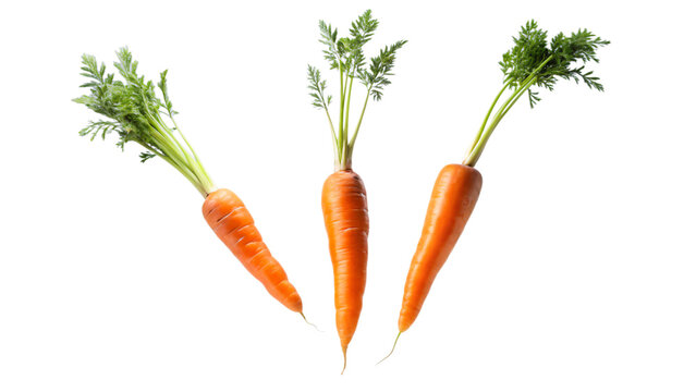 Fresh bunch of orange carrots with green leaves, isolated on white background