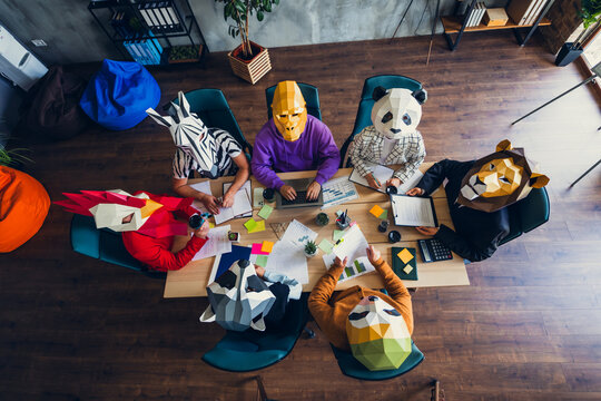 High angle view photo of rooster gorilla lion sloth zebra raccoon mask people meeting desk loft interior office indoors - Powered by Adobe