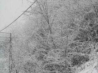 winter season, heavy snowfall, city covered in white, snow and winter views