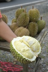n holding Durian fruit on the table. Ready to eat delicious and sweet durian from Indonesia.  ...