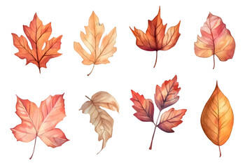 Obraz premium Autumn yellow leaves watercolor collection isolated on transparent background