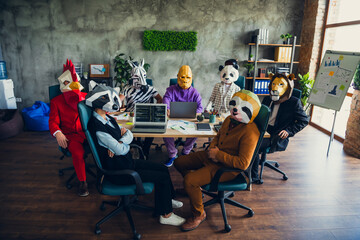 Photo of panda rooster gorilla lion sloth zebra raccoon mask people desktop meeting loft interior office indoors