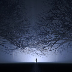 Forest © Mat Karmon
