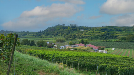 Schmambachtal mit Weingut