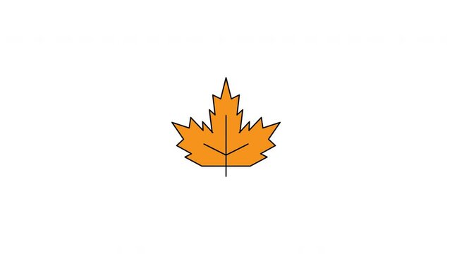 Orange maple leaf animation with black outline. Suitable for fallthemed designs, autumn promotions, seasonal decorations, and natureinspired projects.