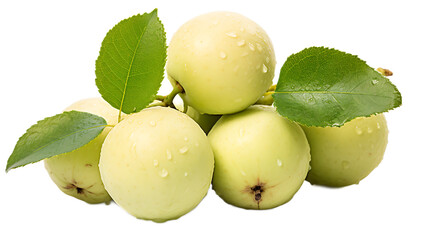 Obraz premium a group of apples with leaves