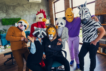 Photo of panda rooster gorilla lion sloth zebra raccoon mask business people embrace folded arms sit chair loft interior office indoors