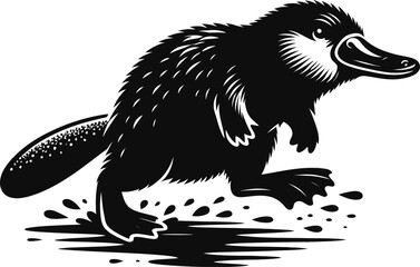illustration of a Raccoon