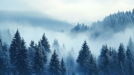 Serene winter forest featuring pine trees enveloped in mist offering a panoramic view of a tranquil snowy landscape