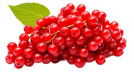 a bunch of red berries

