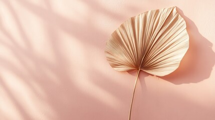 Dried tropical palm leaf as a minimalist decoration against a soft pink backdrop