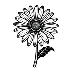 Adobe Illustrator Artwork flower vector