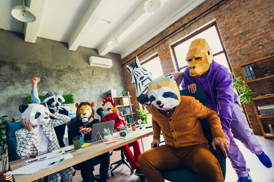 Photo of panda rooster gorilla lion sloth zebra raccoon mask business people rejoice ride chair loft interior office indoors