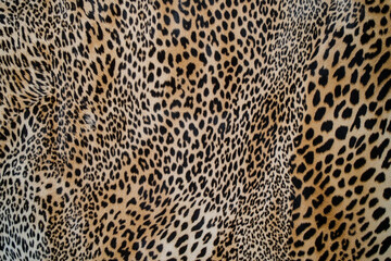Leopard Animal Print. Background Texture.
