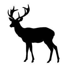 Proud Antlered Stag Silhouette Vector Illustration