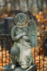 angel baby statue on cemetery, autumn nature background. Design for condolences, mourning card or obituary. symbol of religion, faith, Remember, mourn, memory. all saints day, All Souls Day