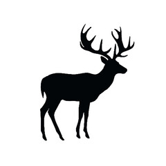 Wild Stag Silhouette Vector Illustration Transparent Background