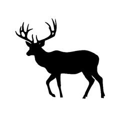 Wild Stag Silhouette Vector Illustration Transparent Background