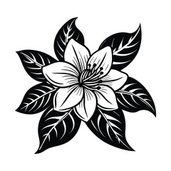 Fototapeta premium Adobe Illustrator Artwork flower vector