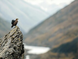 Eagle with a rucksack climbing a sheer cliff, high altitude, soaring and determined, breathtaking view