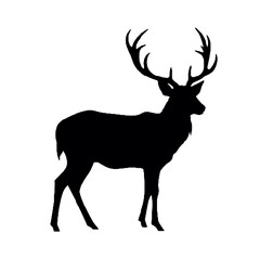 Stag with Antlers Silhouette Vector Illustration