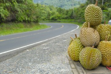 Durians for sale on wooden table. Street as background. Harvest from durians garden near it. Durian