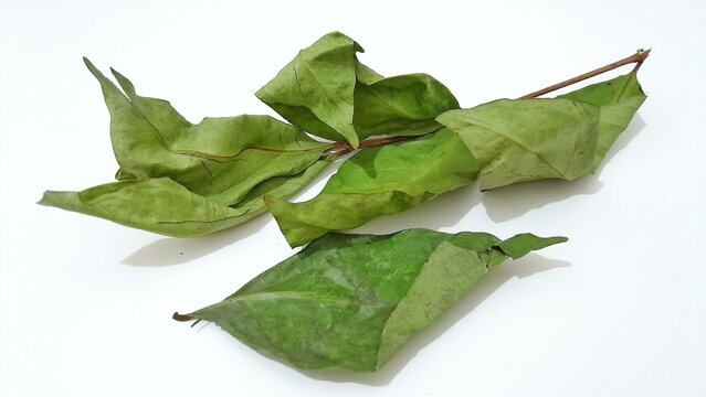 Bay leaf on a white background