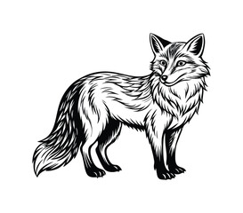 fox silhouette, on white background, isolated, vector
