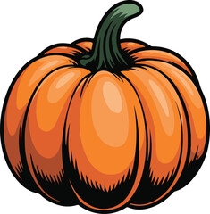 Pumpkin vector illustration on white background 