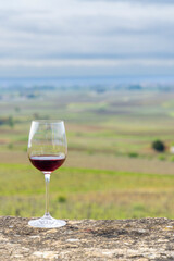 Glass of pinot noir red wine in early spring vineyards near Aloxe-Corton, Burgundy, France