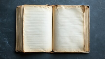 Blank book pages with paper background and dust jacket flaps