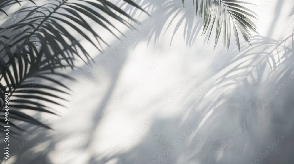 Poster blurred overlay effect on a photo featuring gray palm leaf shadows cast on a white wall an abstract 